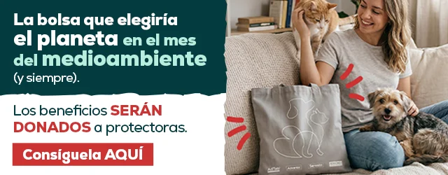 La bolsa que elegiría el planeta en el mes del medioambiente